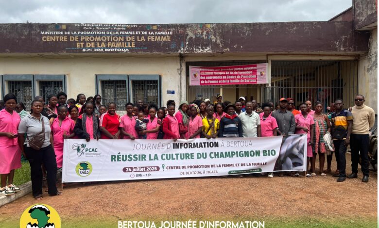 Formation culture champignon